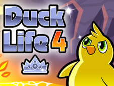 Duck Life 4