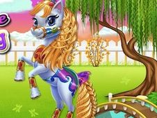 Fairy Pony Horse Mane Braiding