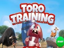 Toro Training