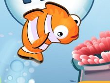 Fish N Jump