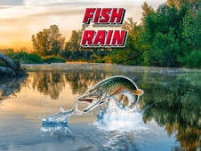 Fish Rain