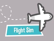 Flight Sim 