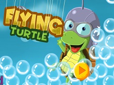 Flying Turtle