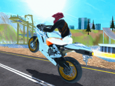 Fury Bike Rider Online