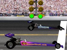 Goosehead Racing Online