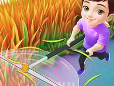 Grass Land