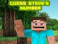 Guess Steve's Number Online