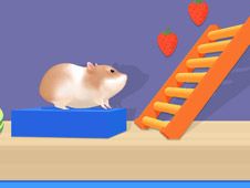 Hamster Maze Online