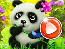 Happy Panda Online