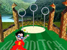 Harry Potter Quidditch