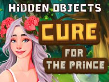 Hidden Objects Cure For The Prince Online