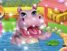 Hippo Dentist Care Online