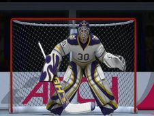 Hockey Shootout Online