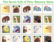 The Secret Life of Pets Memory