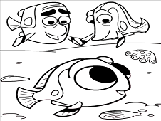 Finding Dory Online Coloring