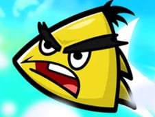Kamikaze Birds