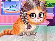 Kitty Hair Salon