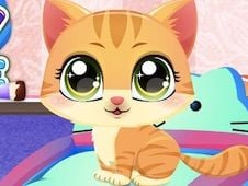 Kitty Fun Care Online