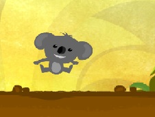 Koala Kid