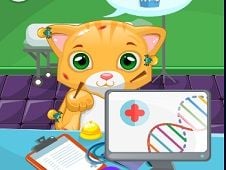 Little Cat Doctor Online