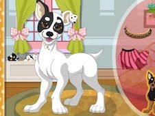 Lovely Dog Dress Up