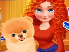 Merida Pet Care