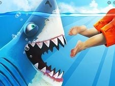 Miami Shark Online