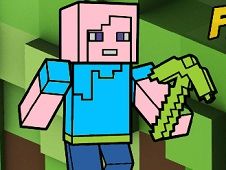 Minecraft Fun Coloring Book
