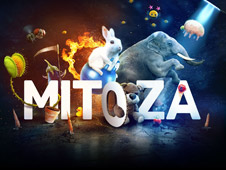 Mitoza