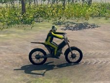 Motocross Trials Online