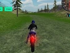Motorbike Simulator Online