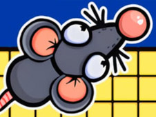 Mouse Survivor