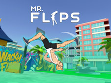 Mr Flip