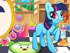 Little Pony Dream House Online