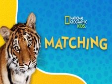 National Geographic Kids Matching
