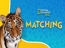 National Geographic Kids Matching Online