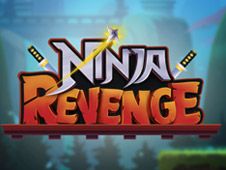 Ninja Revenge