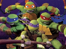 Ninja Turtle Mouser Mayhem