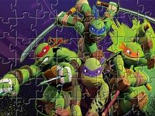 Ninja Turtles Fighting