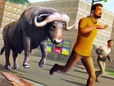 Pamplona Bull Run