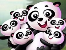 Panda Find My Babys The Forest