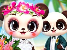 Panda Tropical Wedding Story