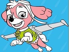 Paw Patrol Skye Coloring Online