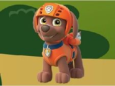 Paw Patrol Zuma