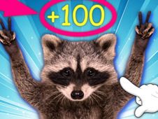 Pedro Clicker: Evolution of the Raccoon