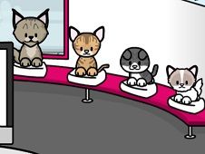 Pet Salon Kitty Care