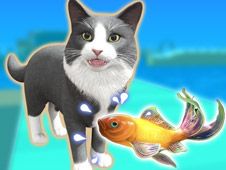 Pet Trainer Duel Online