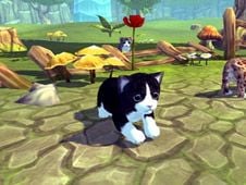Pets in the Maze Online