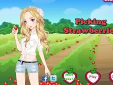 Picking Strawberries 