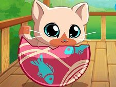 My Pocket Pets Kitty Cat Online